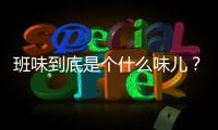 班味到底是個什么味兒？