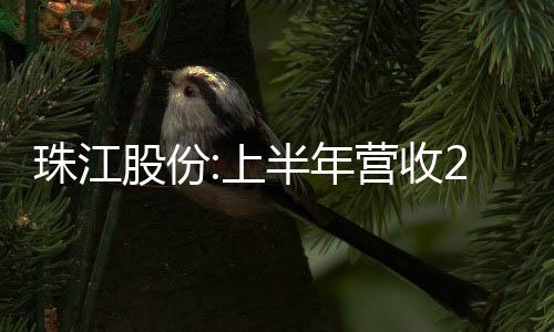 珠江股份:上半年營收2.41億元