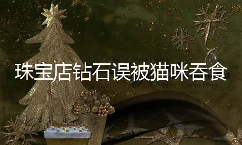 珠寶店鉆石誤被貓咪吞食，店員：老板戴手套從大便里掏出