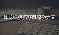 珠龍鎮(zhèn)狠抓移風(fēng)易俗為文明村鎮(zhèn)建設(shè)添底色_