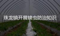 珠龍鎮開展蜱蟲防治知識宣傳活動_