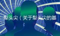 犁頭尖（關(guān)于犁頭尖的基本情況說明介紹）