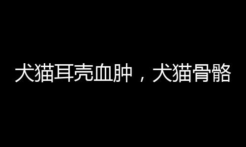 犬貓耳殼血腫，犬貓骨骼和關節疾病，骨折，感染性關節炎