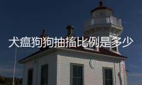 犬瘟狗狗抽搐比例是多少(犬瘟狗狗抽搐比例高嗎)