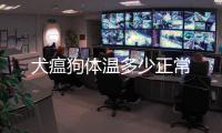 犬瘟狗體溫多少正常