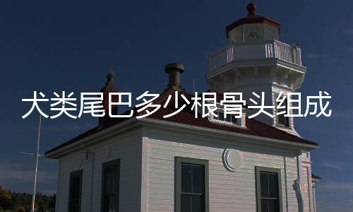 犬類尾巴多少根骨頭組成