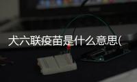 犬六聯疫苗是什么意思(疫苗六聯是什么意思)