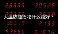 犬溫?zé)岢榇こ允裁此幒茫咳翢峁烦榇こ允裁此?/></div></a><h2 class=