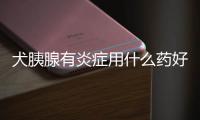 犬胰腺有炎癥用什么藥好？犬胰腺炎怎么治