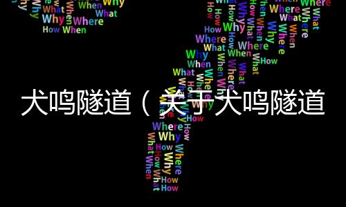 犬鳴隧道（關(guān)于犬鳴隧道的基本情況說明介紹）