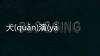 犬(quǎn)演(yǎn)須(xū)看點是什么?