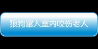 狼狗竄入室內(nèi)咬傷老人