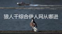 狼人干綜合伊人網(wǎng)從哪進(jìn)？狼人干綜合伊人網(wǎng)手機(jī)地址下載