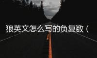 狼英文怎么寫的負復數（狼英文怎么寫）