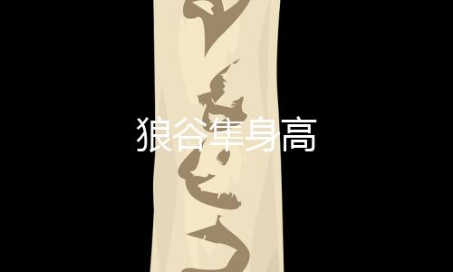 狼谷隼身高