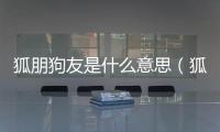 狐朋狗友是什么意思（狐朋狗友）