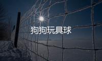 狗狗玩具球