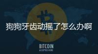 狗狗牙齒動搖了怎么辦啊？狗狗牙齒不由自主顫抖