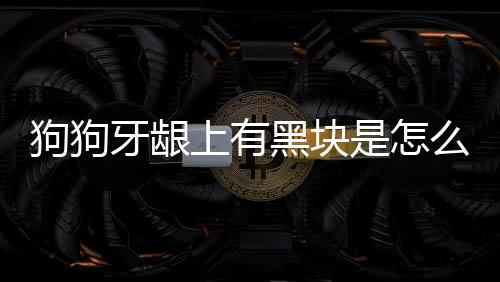 狗狗牙齦上有黑塊是怎么回事？狗狗牙齦長黑色的東西