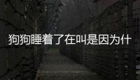 狗狗睡著了在叫是因為什么？小狗狗睡著了在叫是哪里不舒服嗎