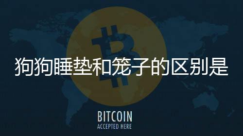 狗狗睡墊和籠子的區別是什么？狗狗睡籠子要墊東西嗎