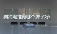 狗狗電推剪哪個牌子好(狗狗可以用人的電推剪嗎)