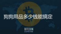 狗狗用品多少錢能搞定  狗狗用品多少錢一個