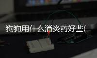 狗狗用什么消炎藥好些(狗狗用什么消炎藥膏)