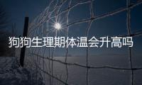 狗狗生理期體溫會(huì)升高嗎(狗狗體溫升高的表現(xiàn))