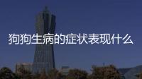 狗狗生病的癥狀表現(xiàn)什么病會(huì)傳染？狗狗生病的癥狀及治療方法