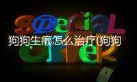 狗狗生癩怎么治療(狗狗結石怎么治療)
