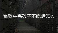 狗狗生完孩子不吃飯怎么辦視頻？狗狗生完孩子不吃東西