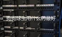 狗狗球蟲用什么藥最好