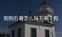狗狗石膏怎么拆下來？狗狗打石膏固定要多少錢