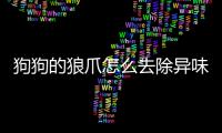 狗狗的狼爪怎么去除異味？狗狗的狼爪怎么去除掉