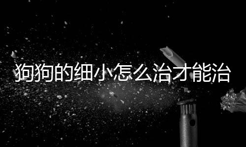 狗狗的細小怎么治才能治好(狗狗得細小能自愈嗎)