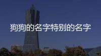狗狗的名字特別的名字