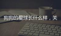 狗狗的星球長(zhǎng)什么樣，關(guān)于狗狗健康知識(shí)星球繪畫(huà)素材詳細(xì)情況