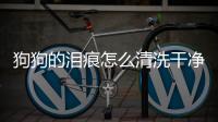狗狗的淚痕怎么清洗干凈？狗狗的淚痕怎么清洗掉