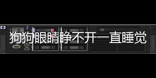 狗狗眼睛睜不開(kāi)一直睡覺(jué)(狗狗眼睛分泌物變多像膿一樣)