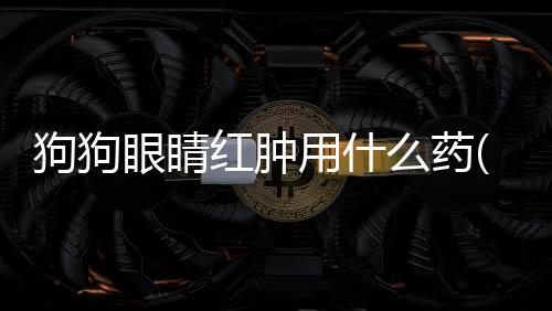 狗狗眼睛紅腫用什么藥(狗狗眼睛紅怎么回事)