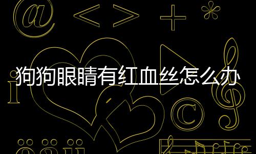 狗狗眼睛有紅血絲怎么辦(狗狗眼里有紅血絲而且眼屎多)