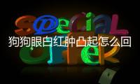 狗狗眼白紅腫凸起怎么回事(狗狗眼白發(fā)紅是什么原因)