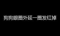 狗狗眼圈外延一圈發紅掉毛(狗狗眼角發紅是什么原因引起的)
