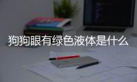 狗狗眼有綠色液體是什么情況啊(狗狗眼睛有綠色分泌物是怎么回事)