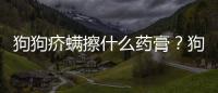 狗狗疥螨擦什么藥膏？狗狗疥螨擦什么藥好