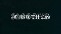狗狗癲癇才什么藥