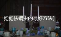 狗狗祛螨蟲的最好方法(狗狗祛螨蟲用什么藥)