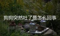 狗狗突然吐了是怎么回事(狗狗突然吐了吃的東西)