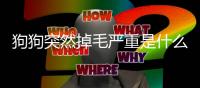 狗狗突然掉毛嚴重是什么原因(狗狗突然不會走路了怎么回事)